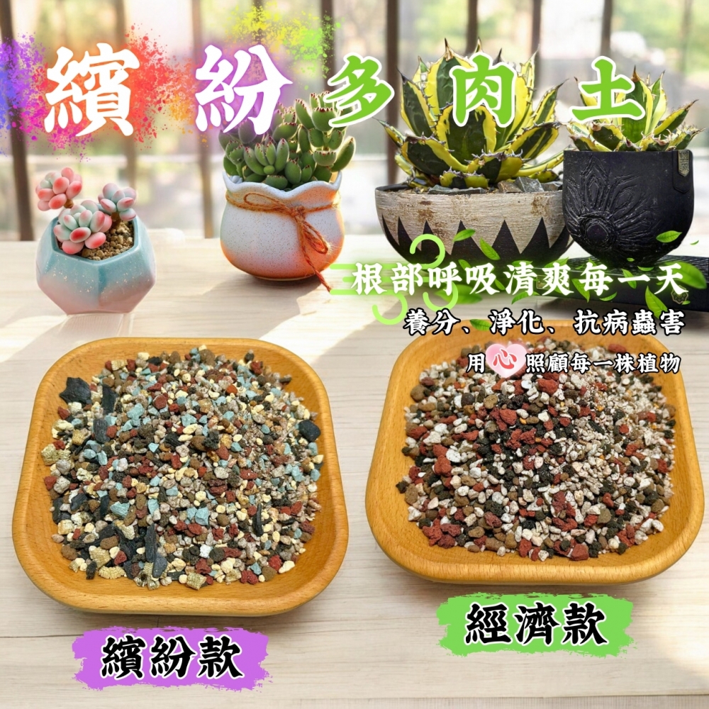 繽紛多肉栽培土