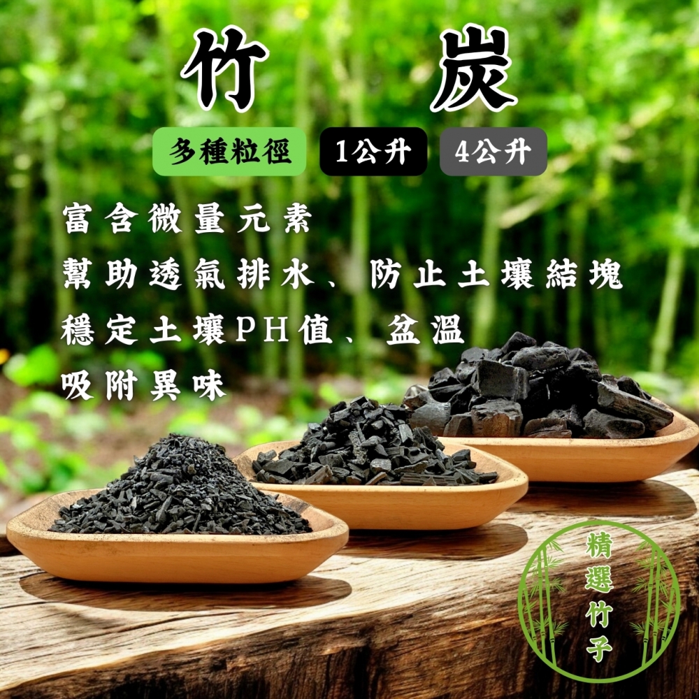 竹炭