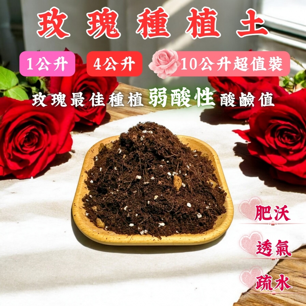 玫瑰種植土