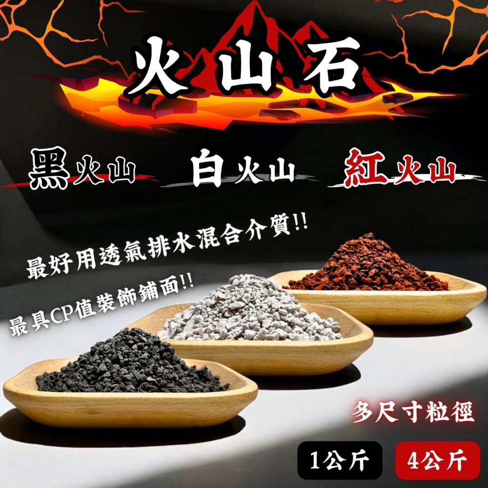 各式火山石