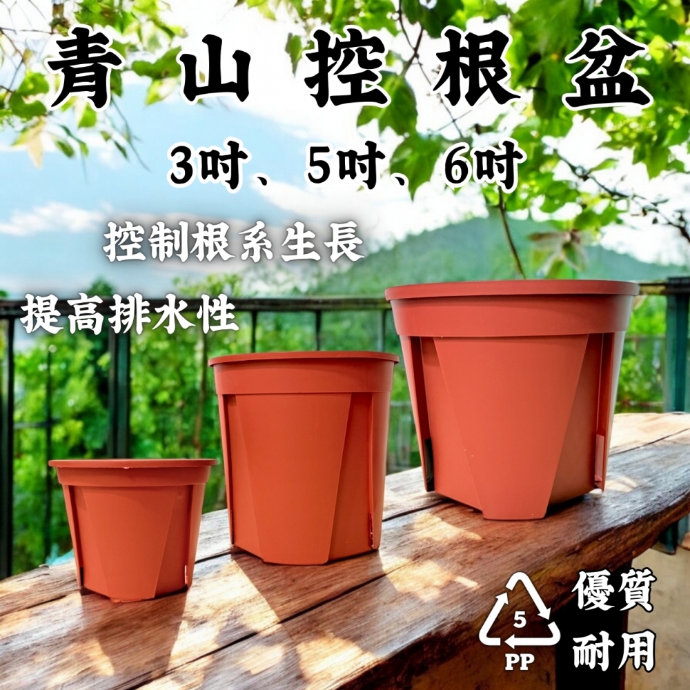 3、5、6吋青山控根盆