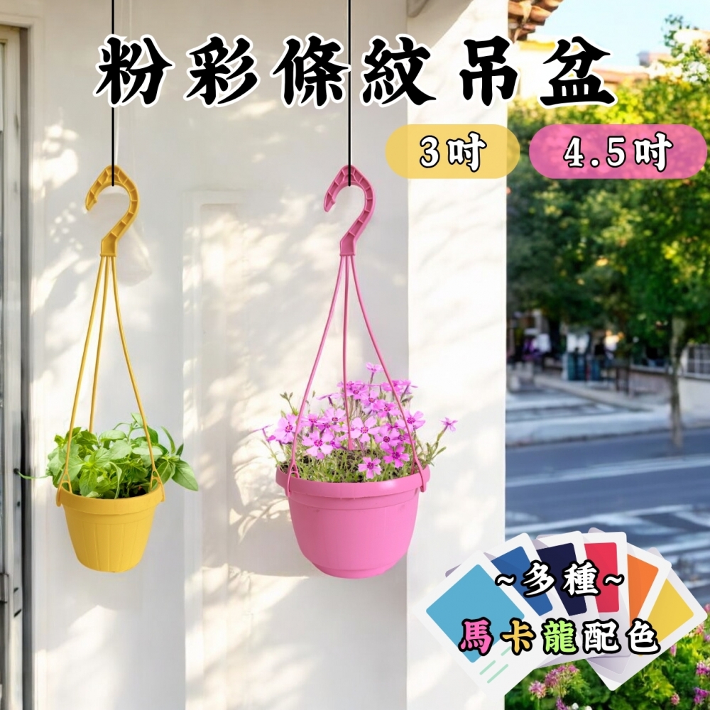粉彩條紋吊盆(3、4
