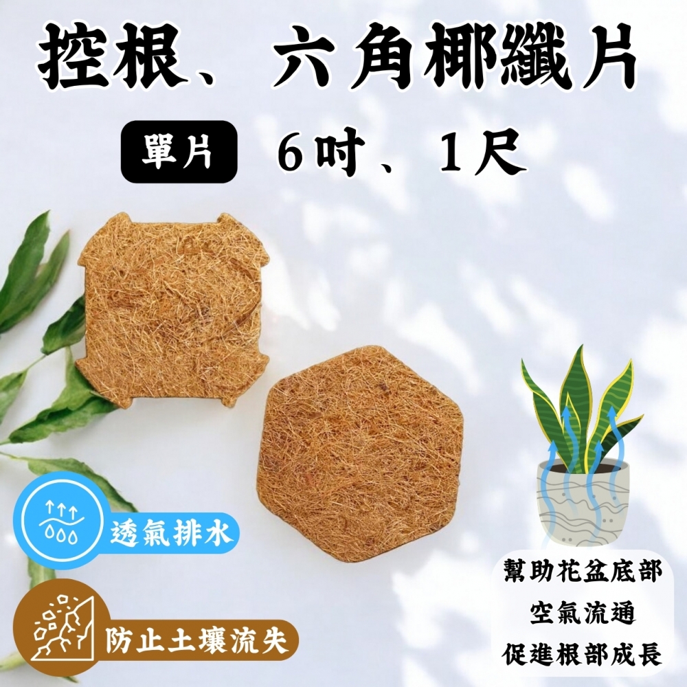 控根、六角形椰纖片