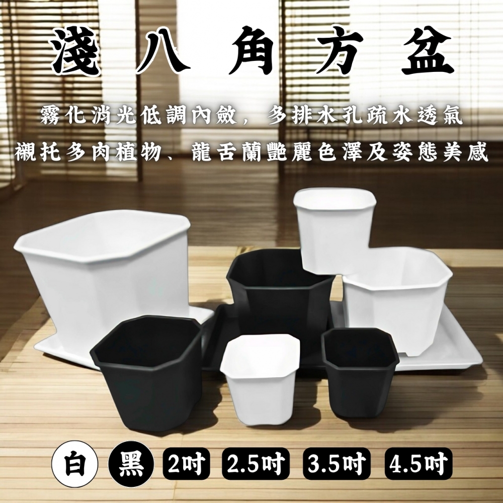 淺八角方盆
