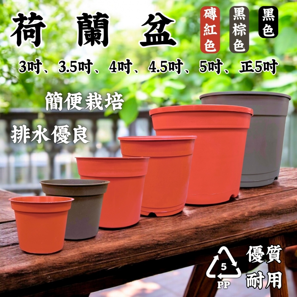 3吋~5吋高品質荷蘭