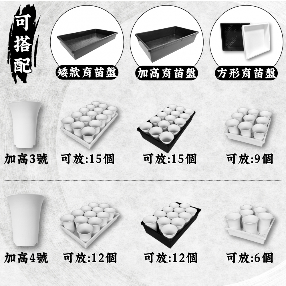 多肉丸盆