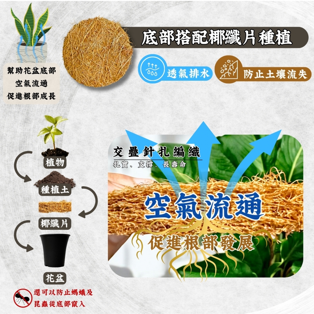 多肉丸盆