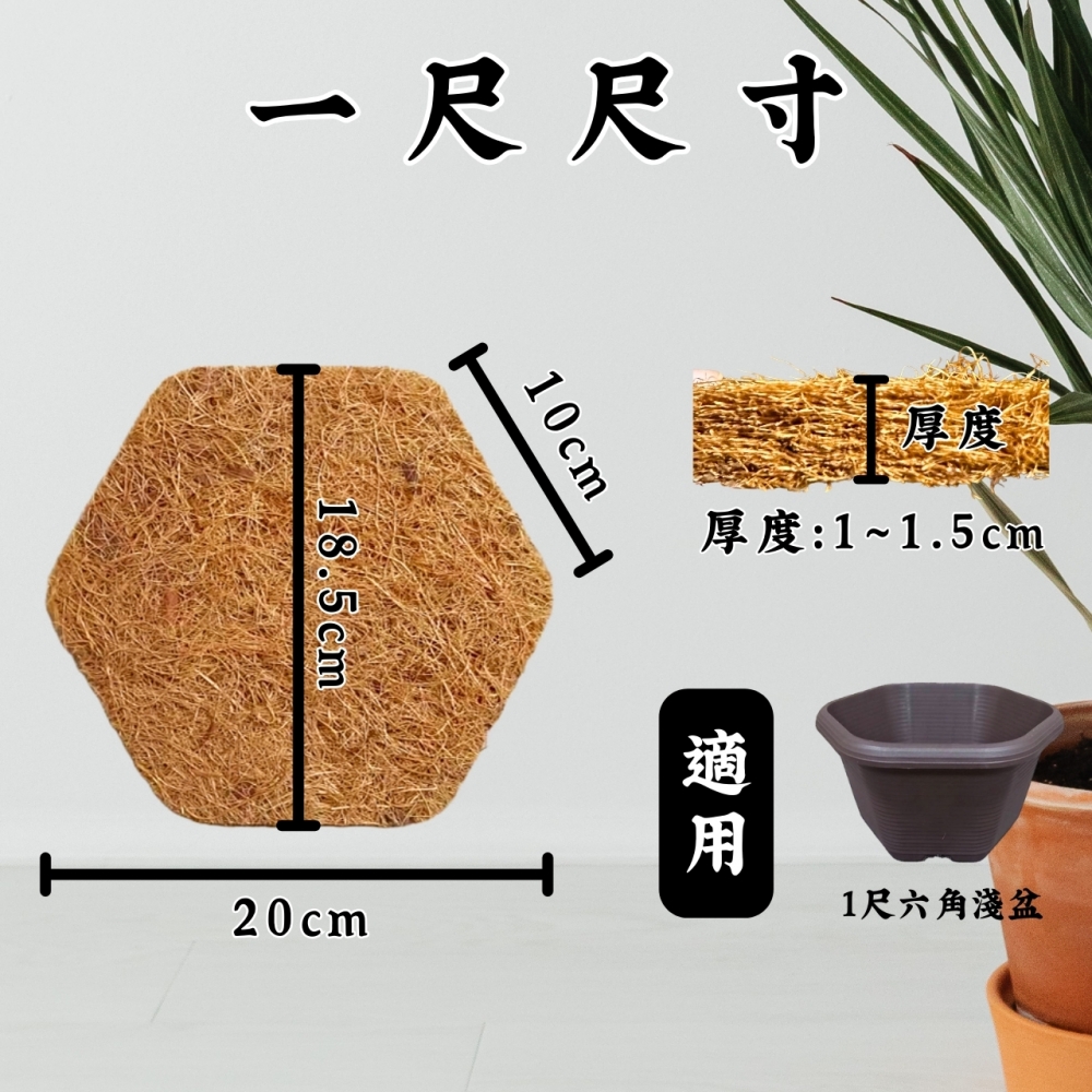 控根、六角形椰纖片