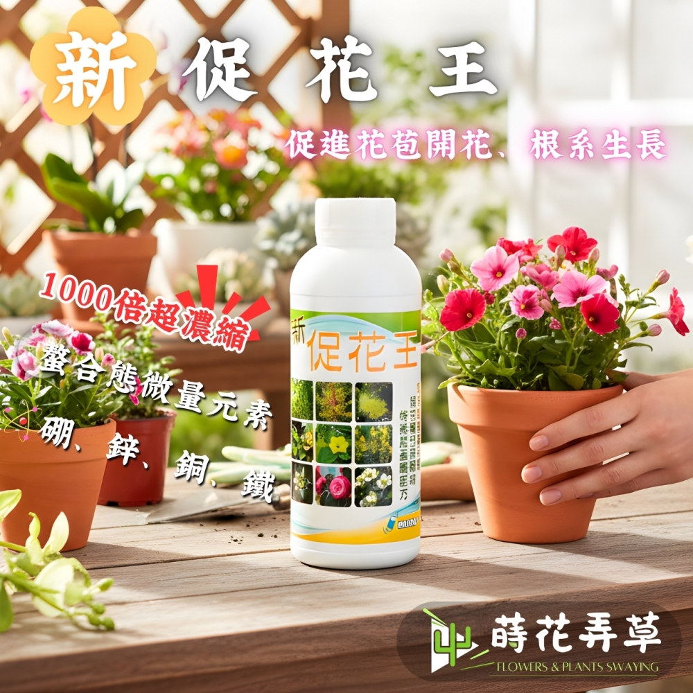 新促花王(250、1