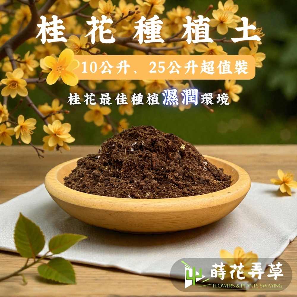 桂花種植土
