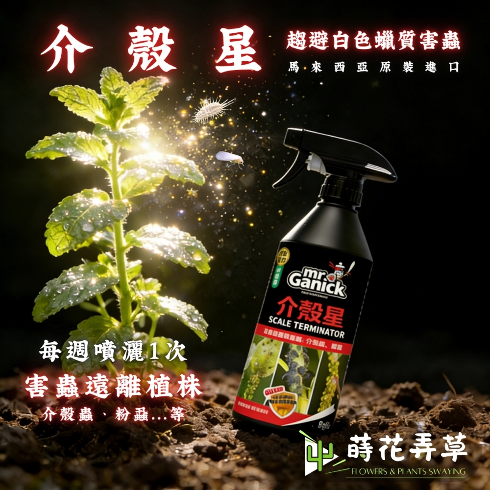 Mr. Ganick-介殼星(500ml)