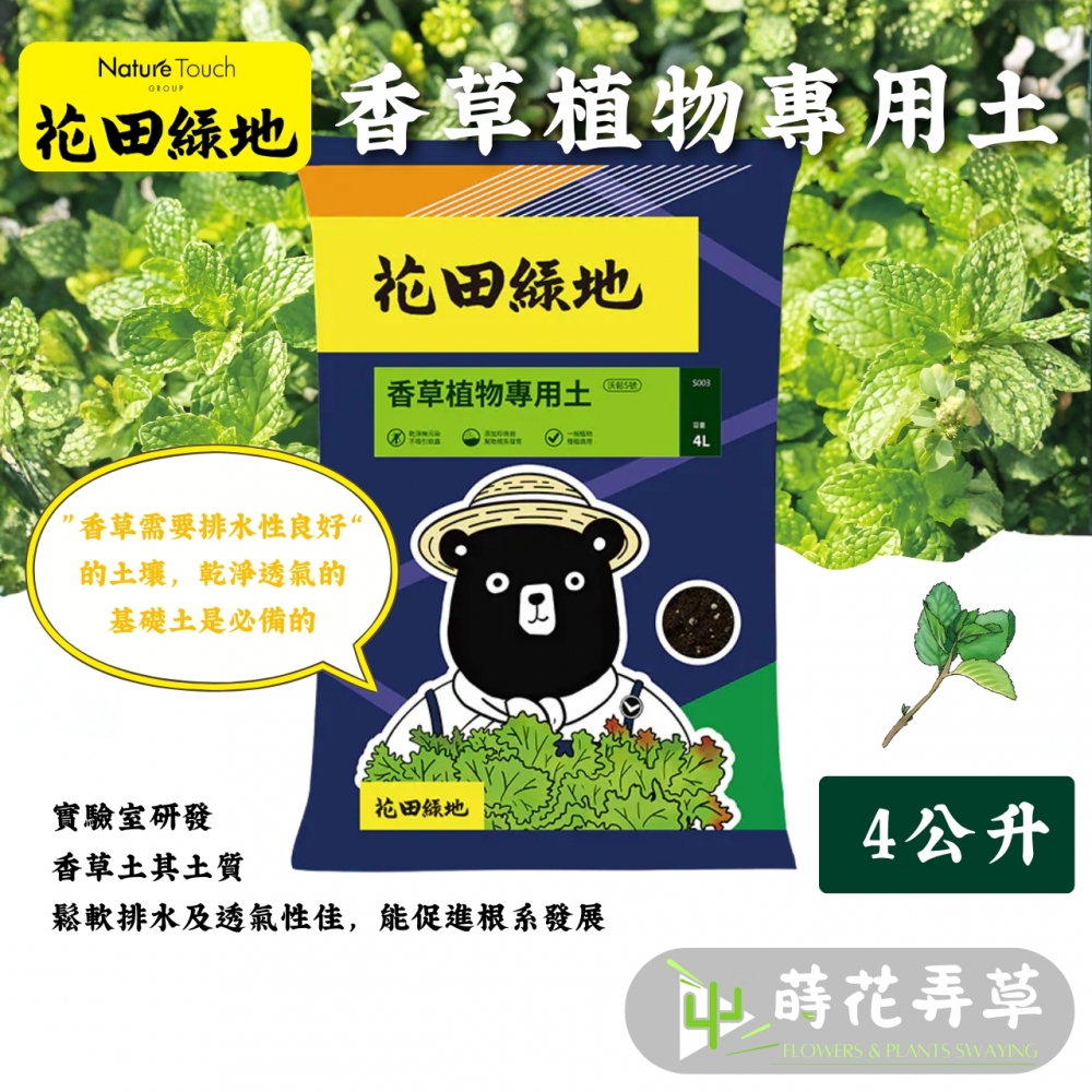 花田綠地-香草植物專