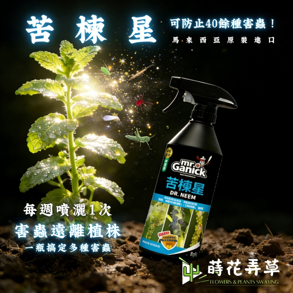 Mr. Ganick-苦楝星 (500ml)