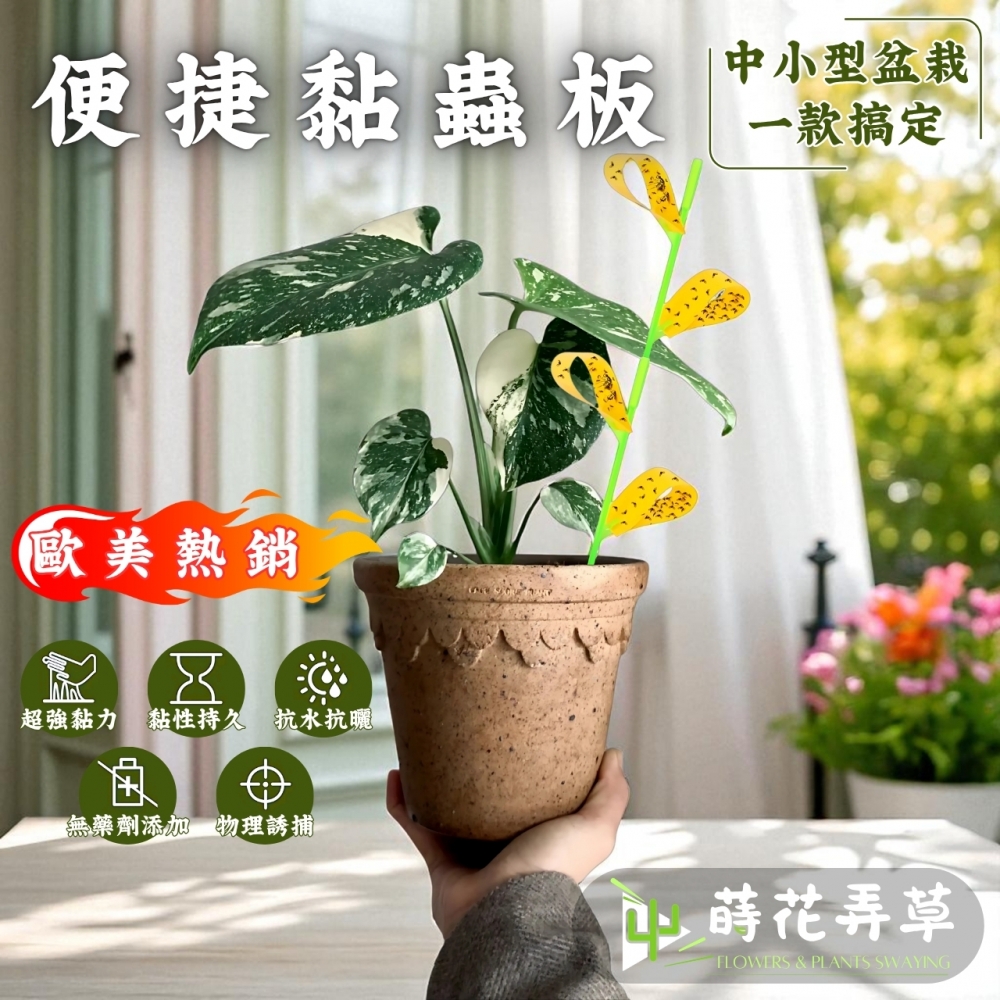 便捷黏蟲板