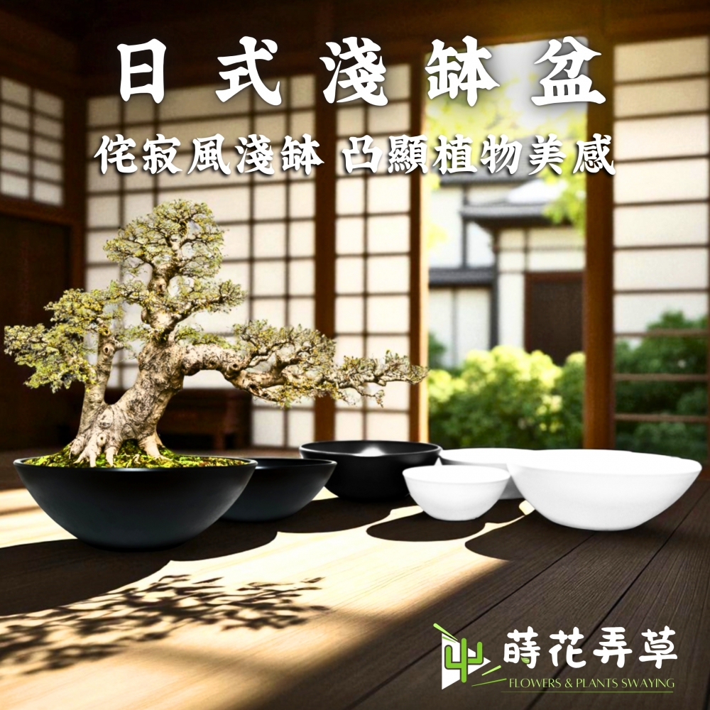 日式淺缽盆(多款尺寸)