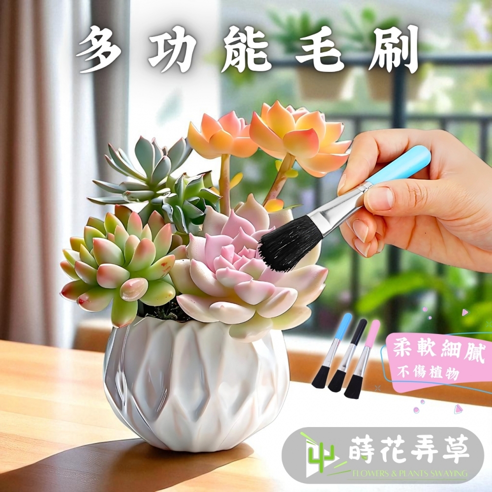 多功能毛刷
