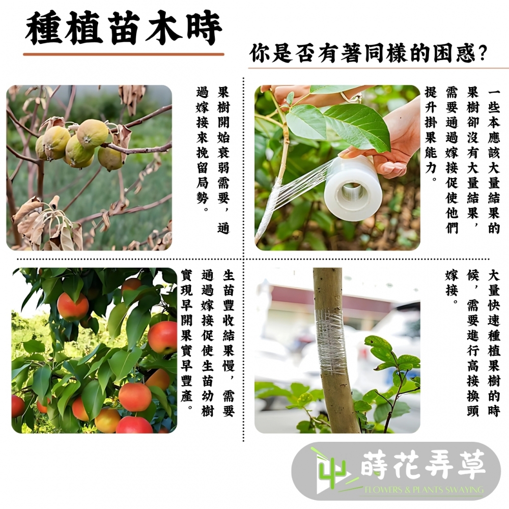 果樹嫁接膜(多款式)