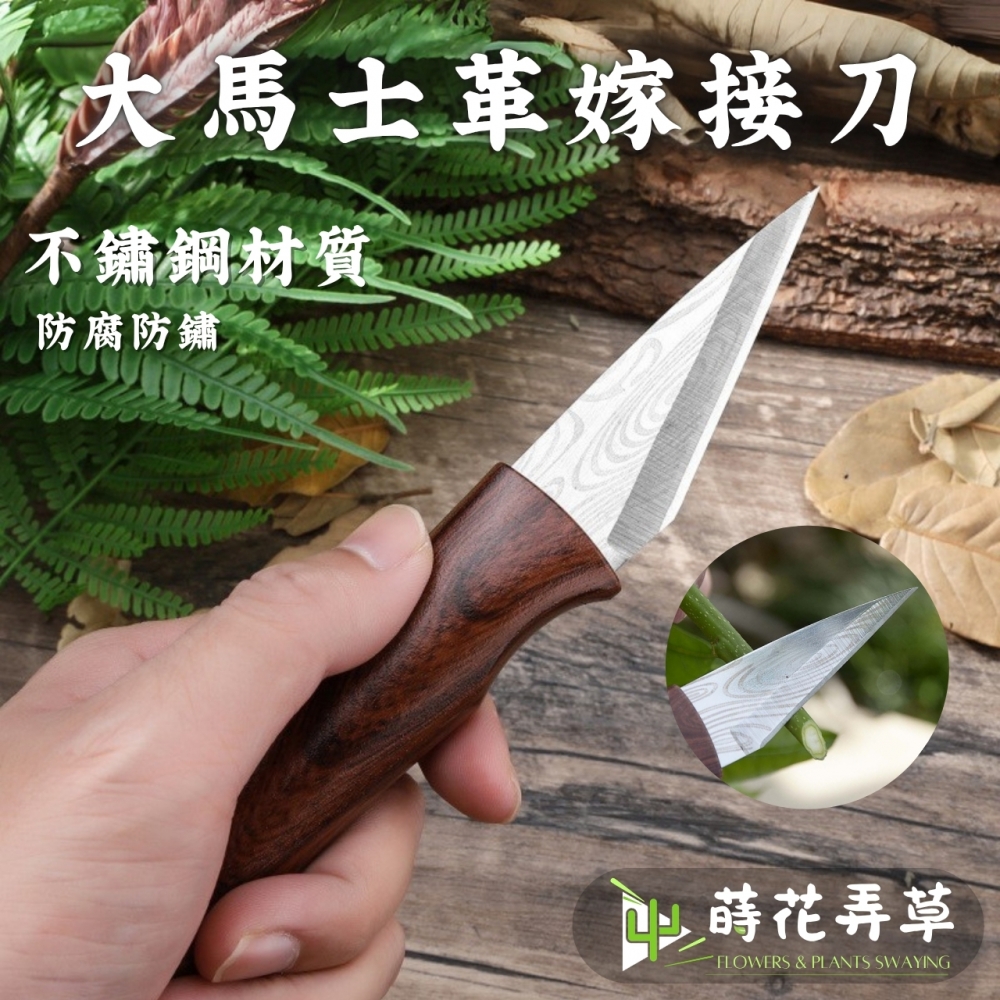 大馬士革嫁接刀