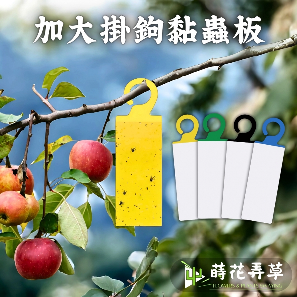 加大掛鉤黏蟲紙