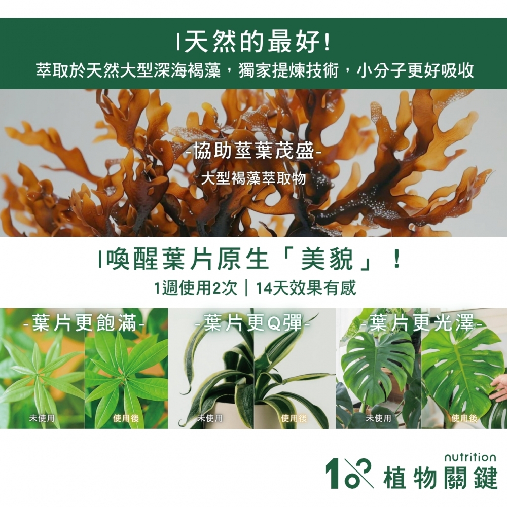 植物關鍵-植物保養噴霧