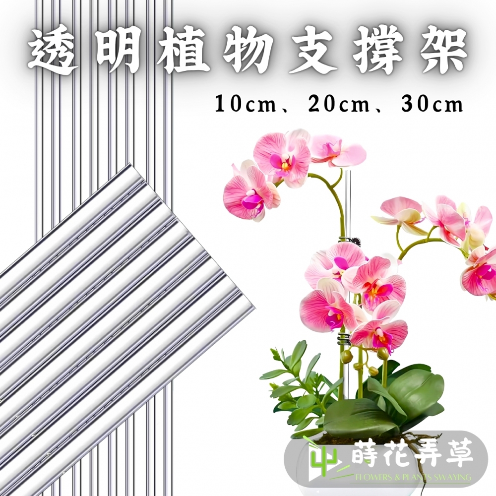 透明植物支撐架(多款
