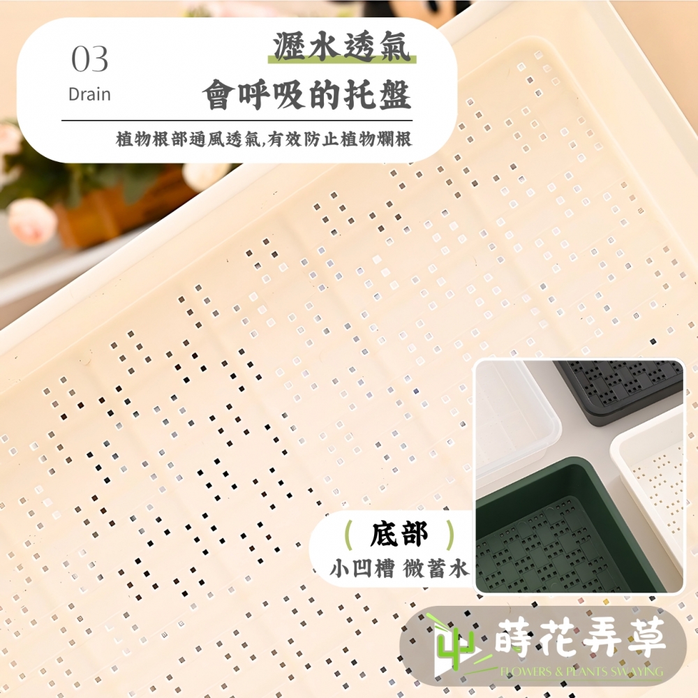多用途端盤/育苗盤(多款顏色)