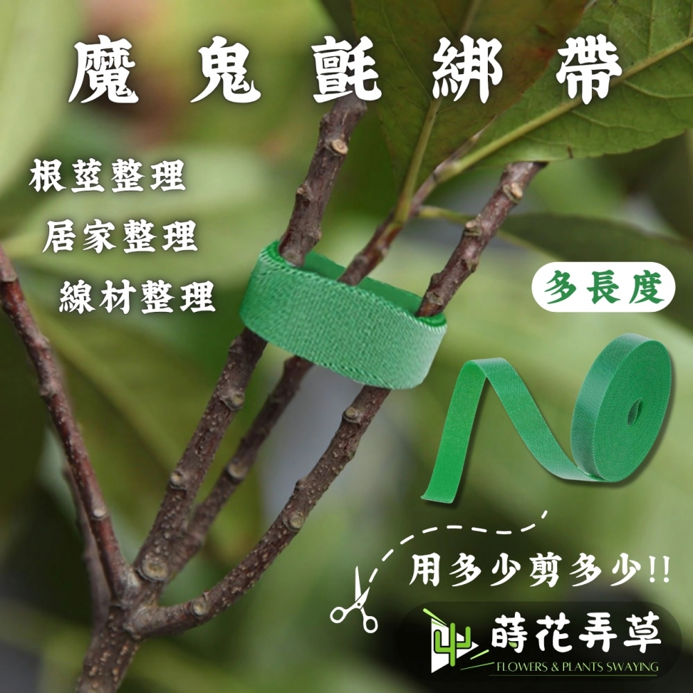 魔鬼氈綁帶