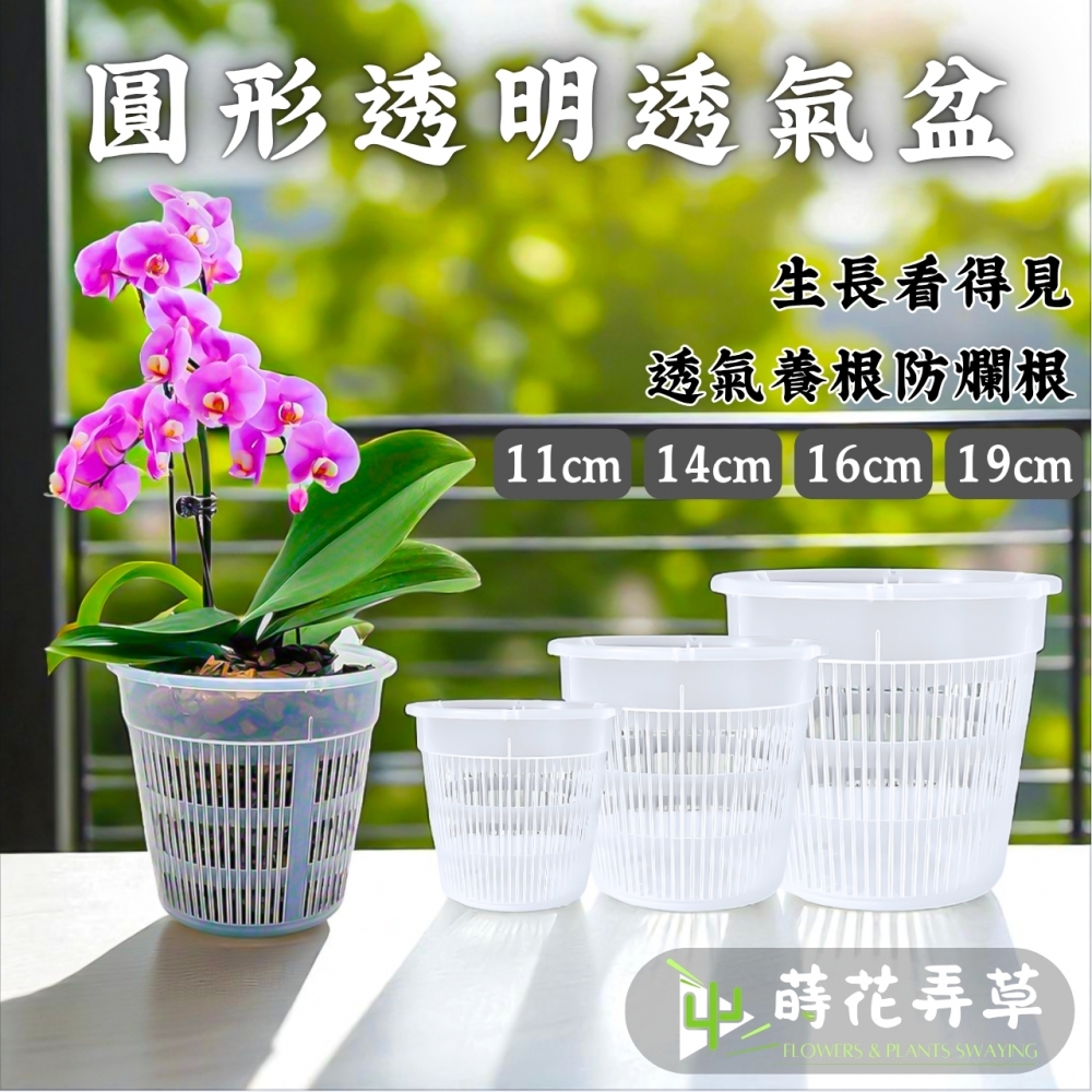 圓形透氣盆(多尺寸)