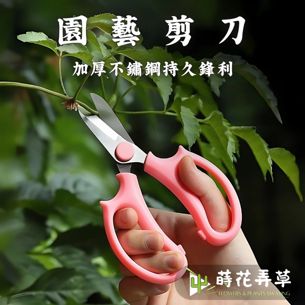 不銹鋼花藝剪刀