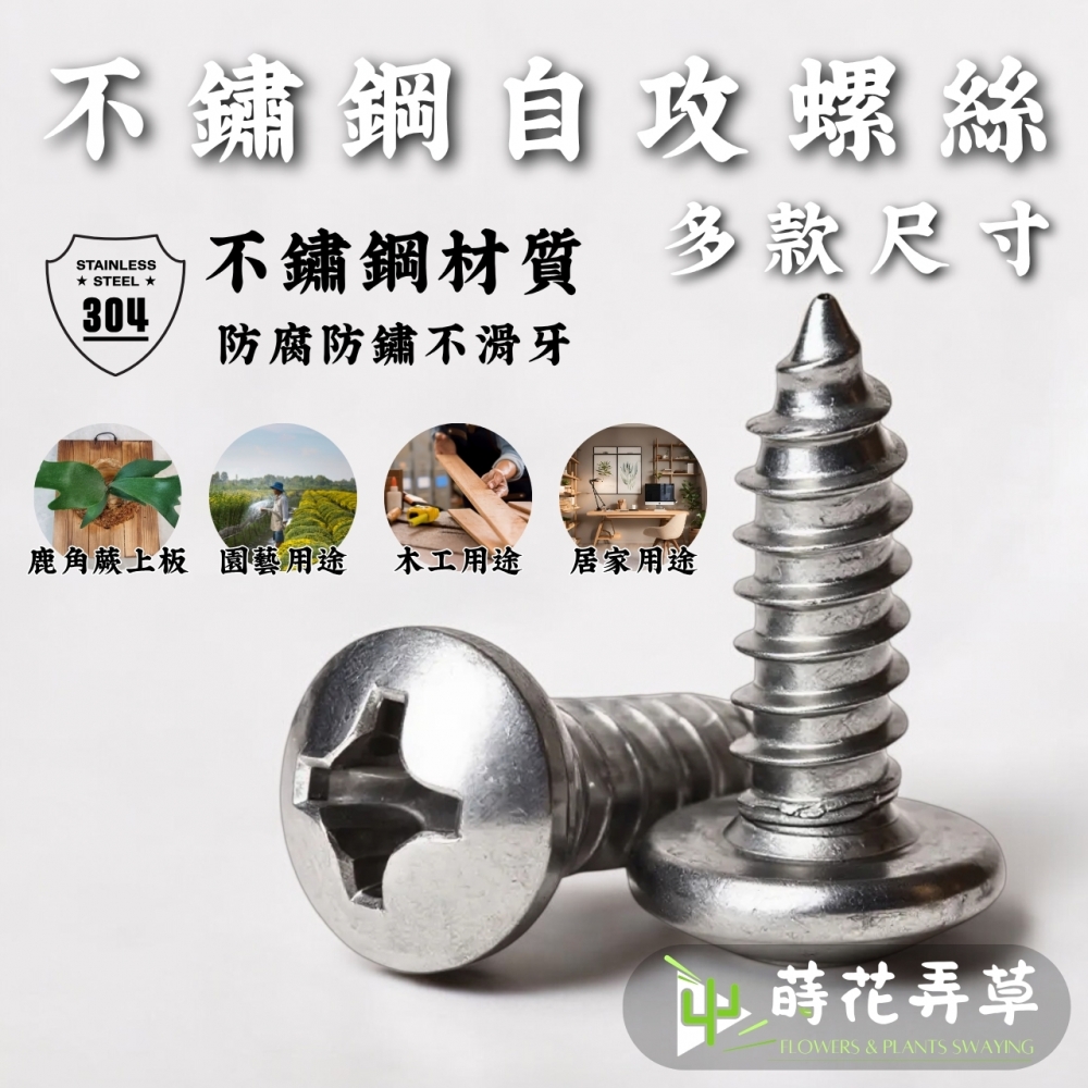 不鏽鋼自攻螺絲(多規