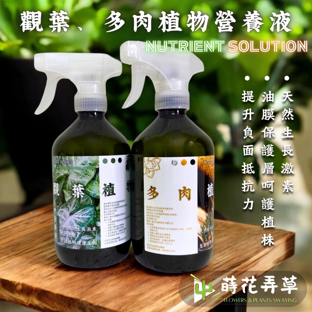 觀葉植物、多肉植物營