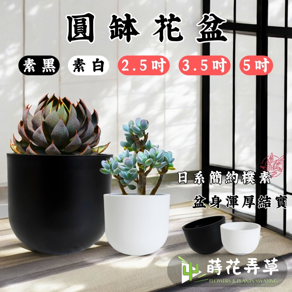 超厚實花盆缽(多款尺