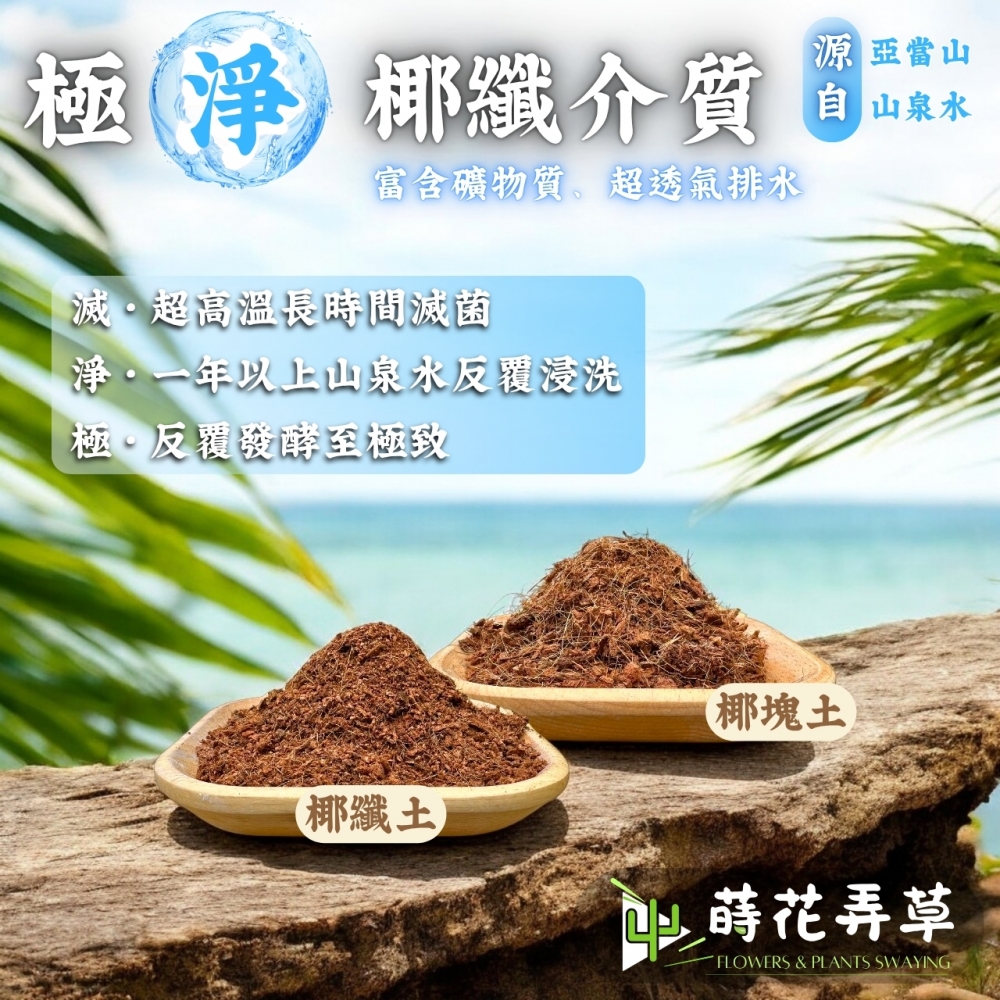 天然椰纖種植土(椰纖