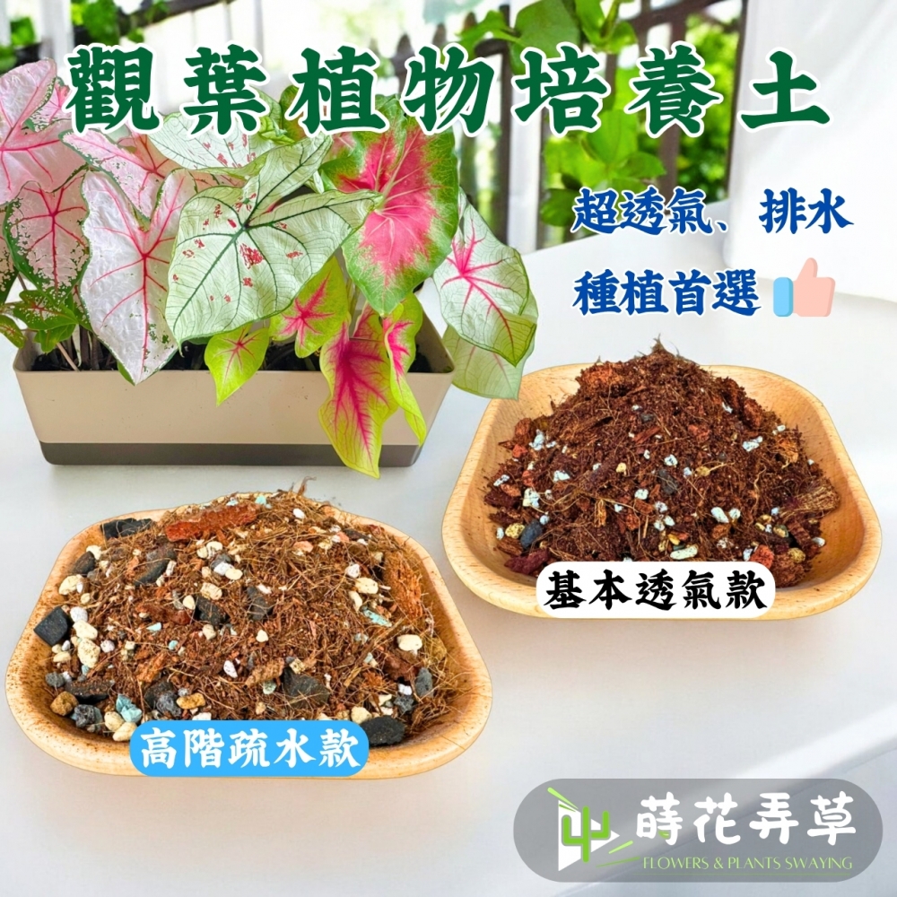 觀葉植物專用栽培土
