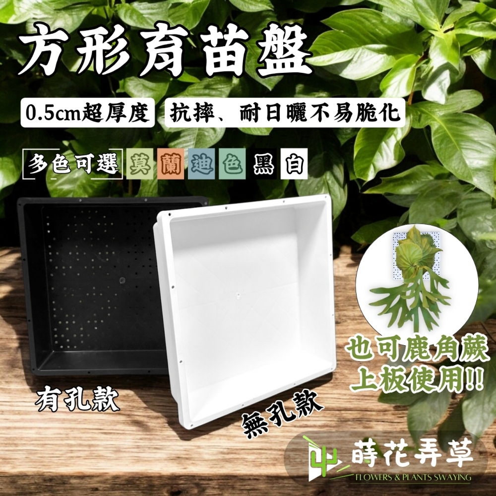 方型育苗盤(有孔、無