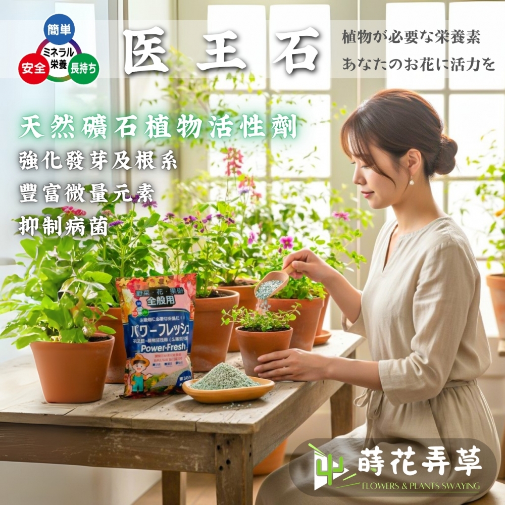 醫王石(医王石)-植