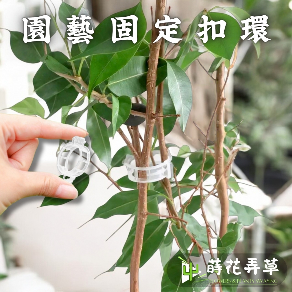 園藝固定扣環