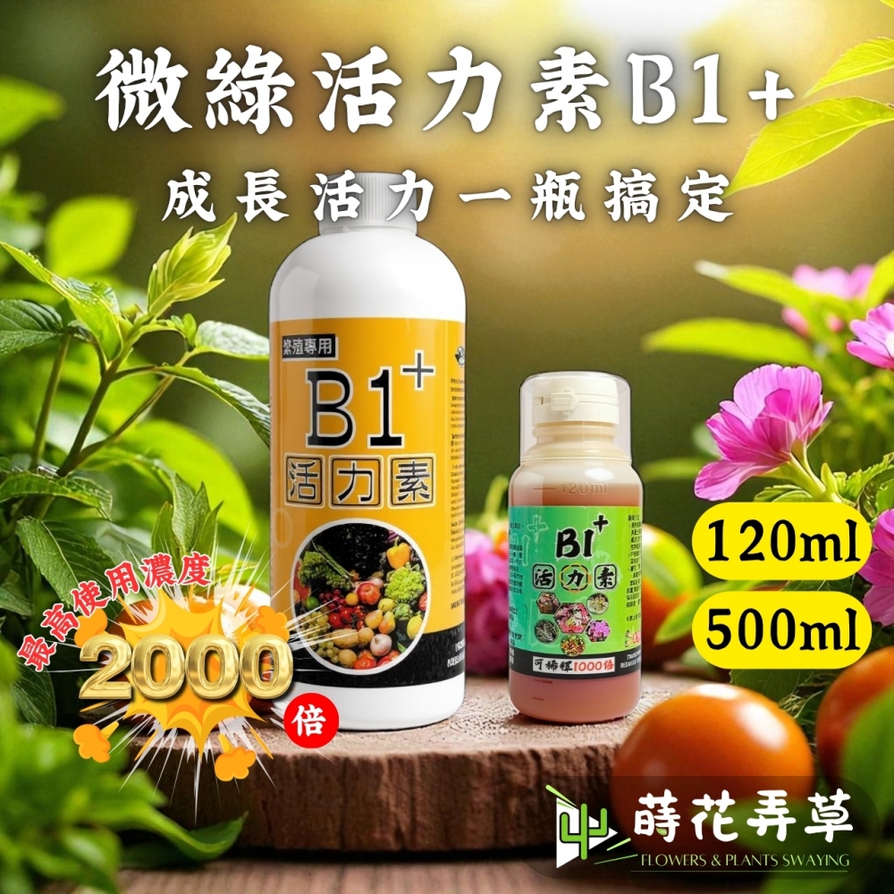 微綠活力素B1+ (