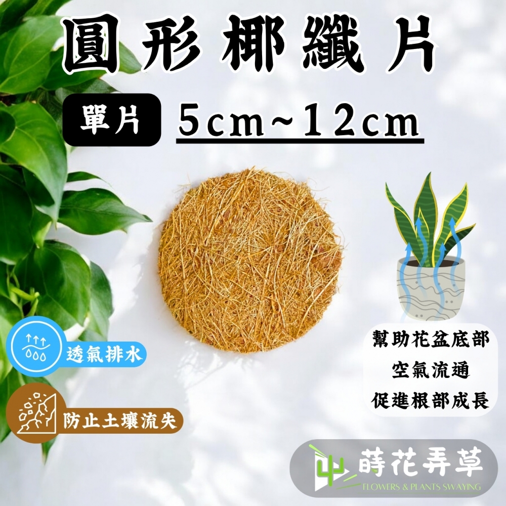 圓形椰纖片 (5cm