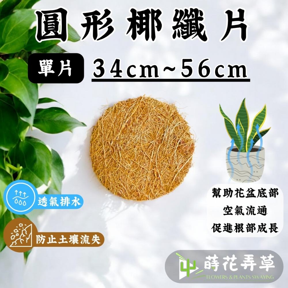 圓形椰纖片 (34c