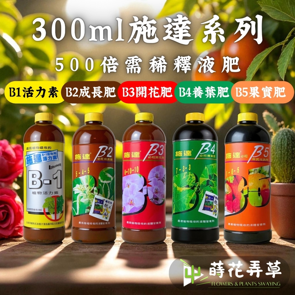 翠筠施達必旺(300