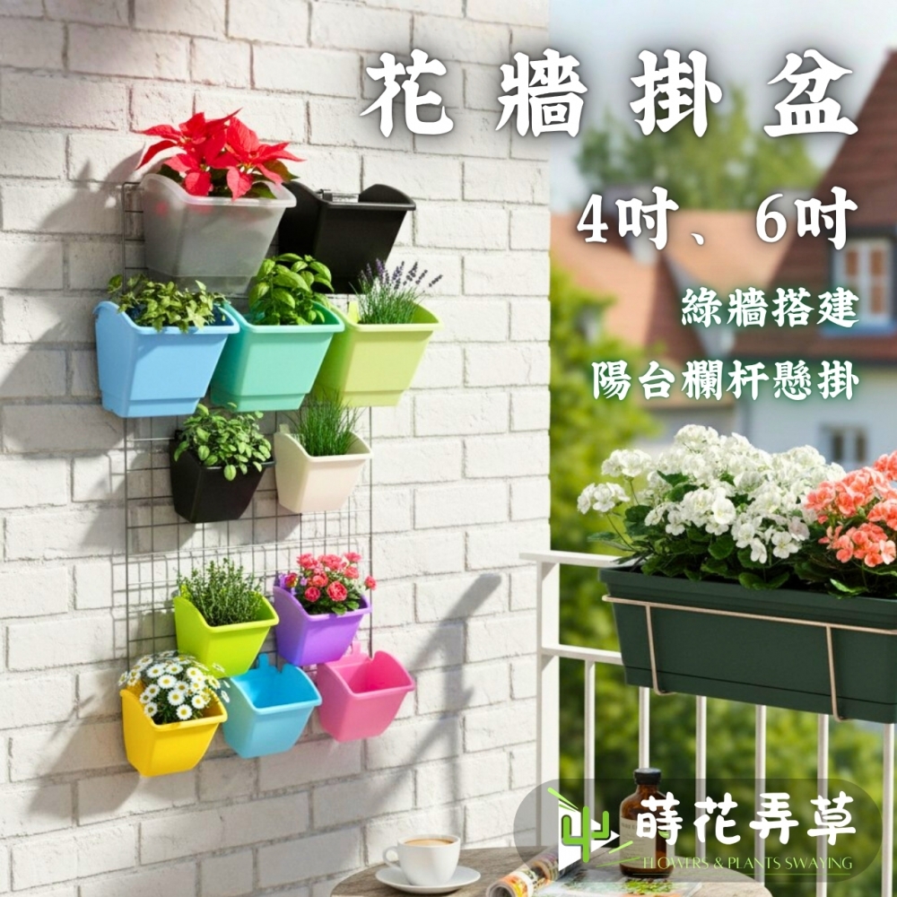 花牆掛盆(4吋、6吋