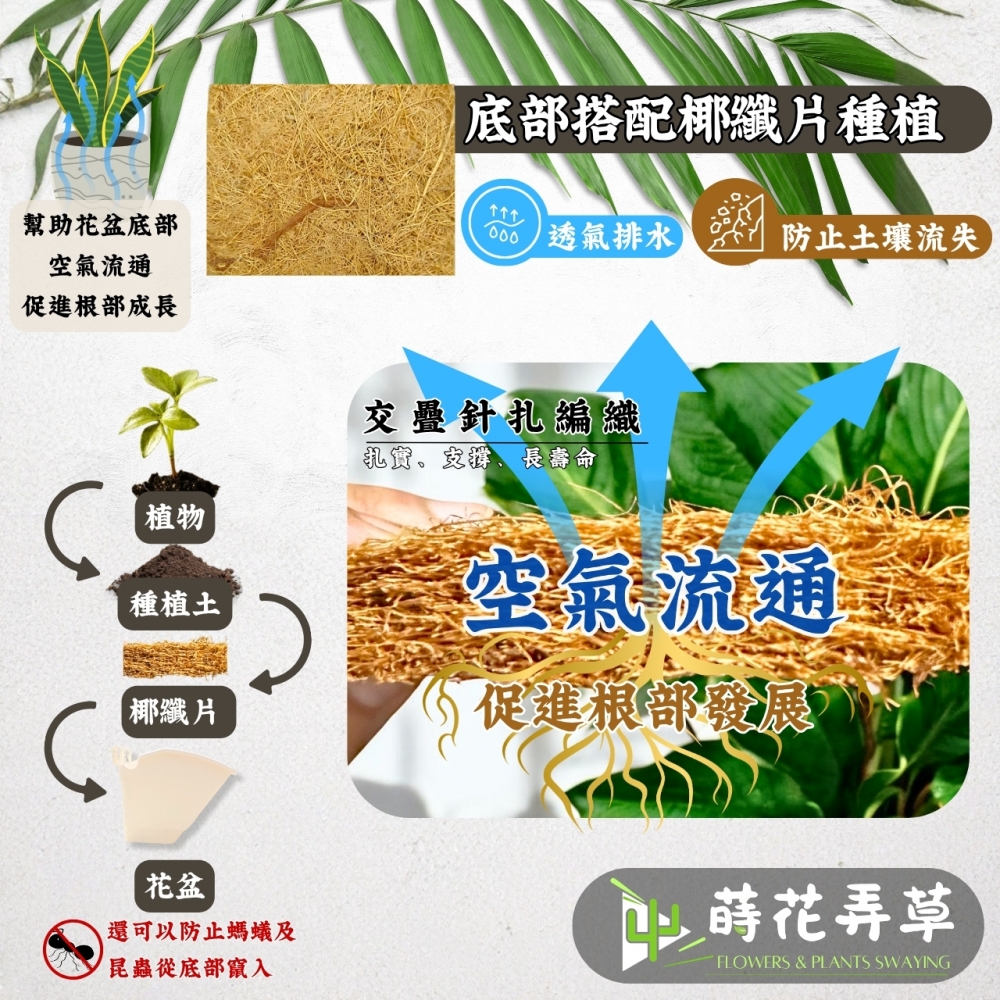 花牆掛盆(4吋、6吋)