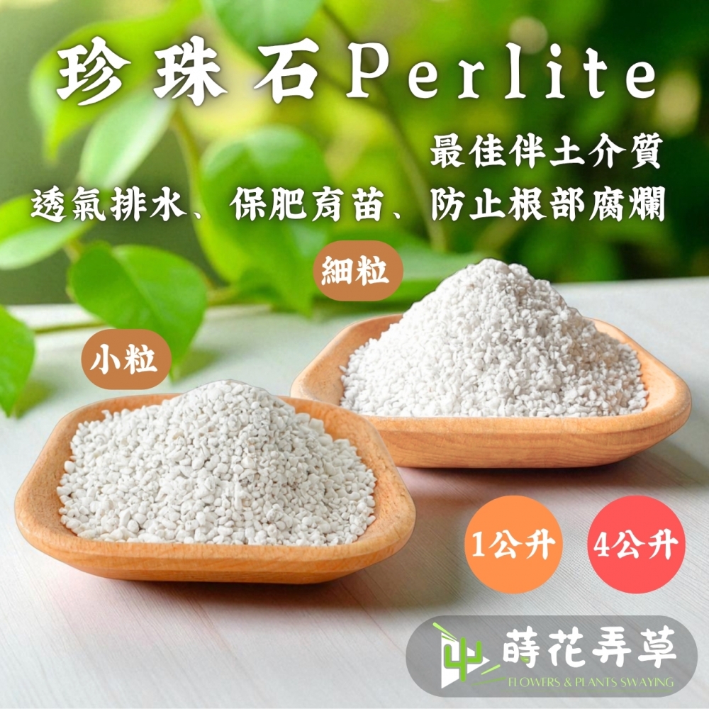 珍珠石 (細、小粒)