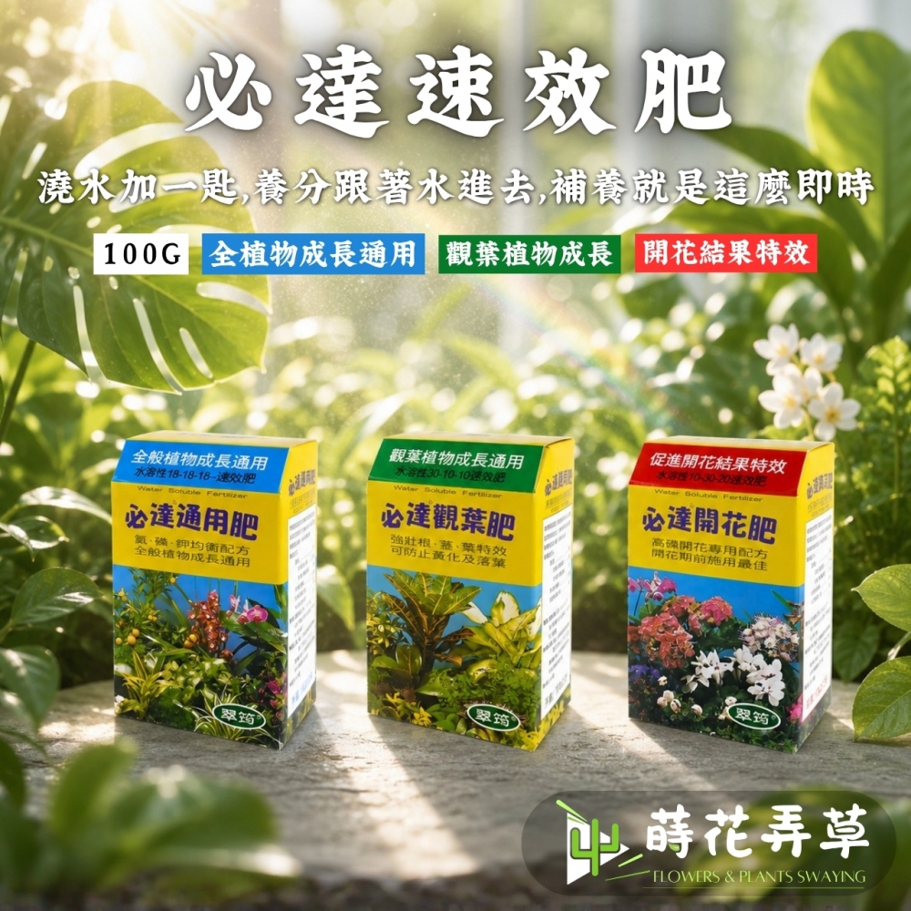 必達水溶性速效肥(多款式)