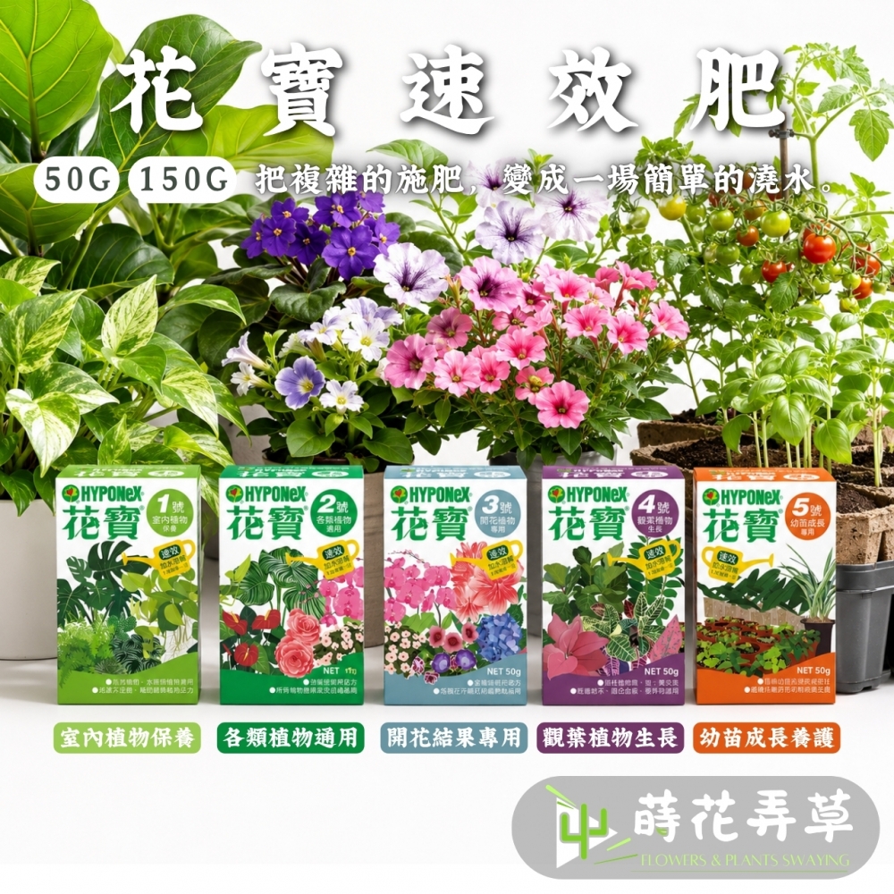 花寶速效肥(多款式)