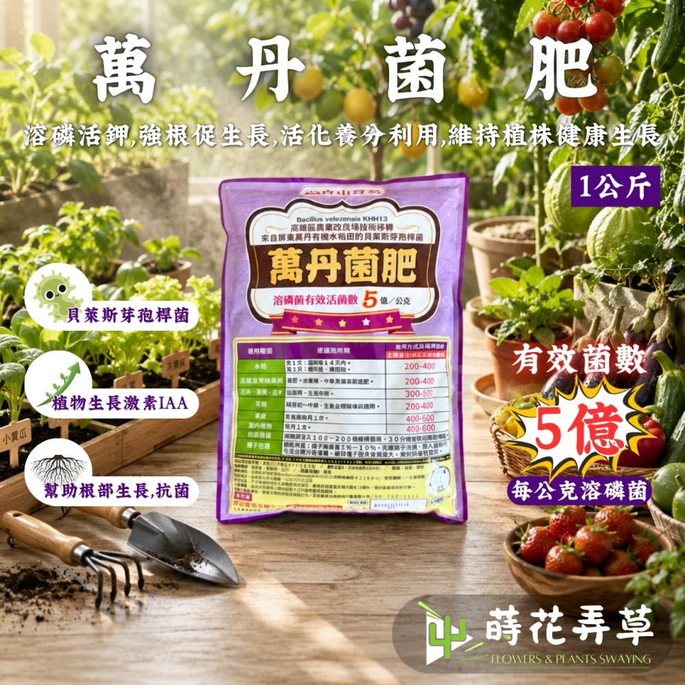 萬丹菌肥-貝萊斯芽孢桿菌