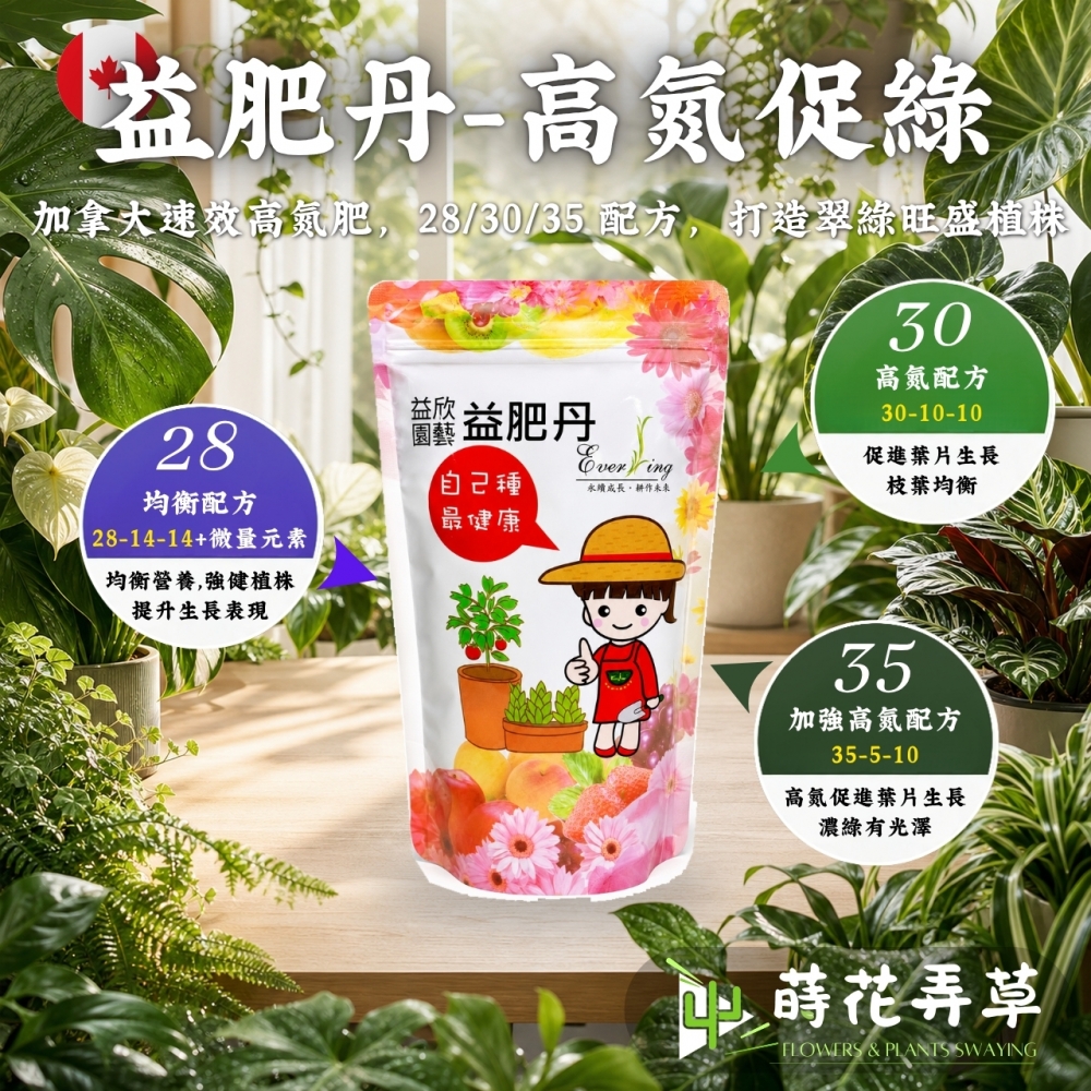 益肥丹(高氮促綠) 211+、311、351