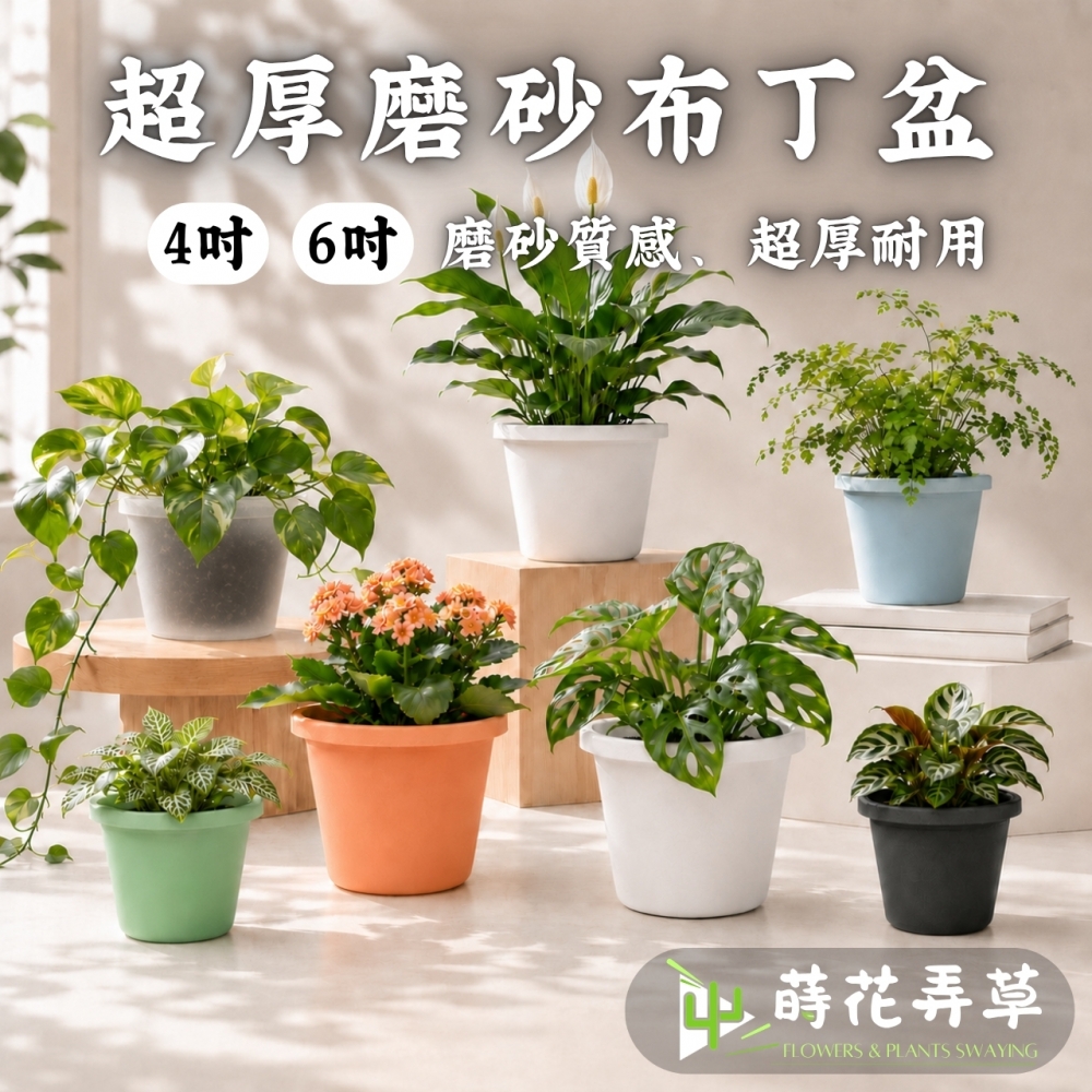 超厚磨砂布丁盆(4、6吋）