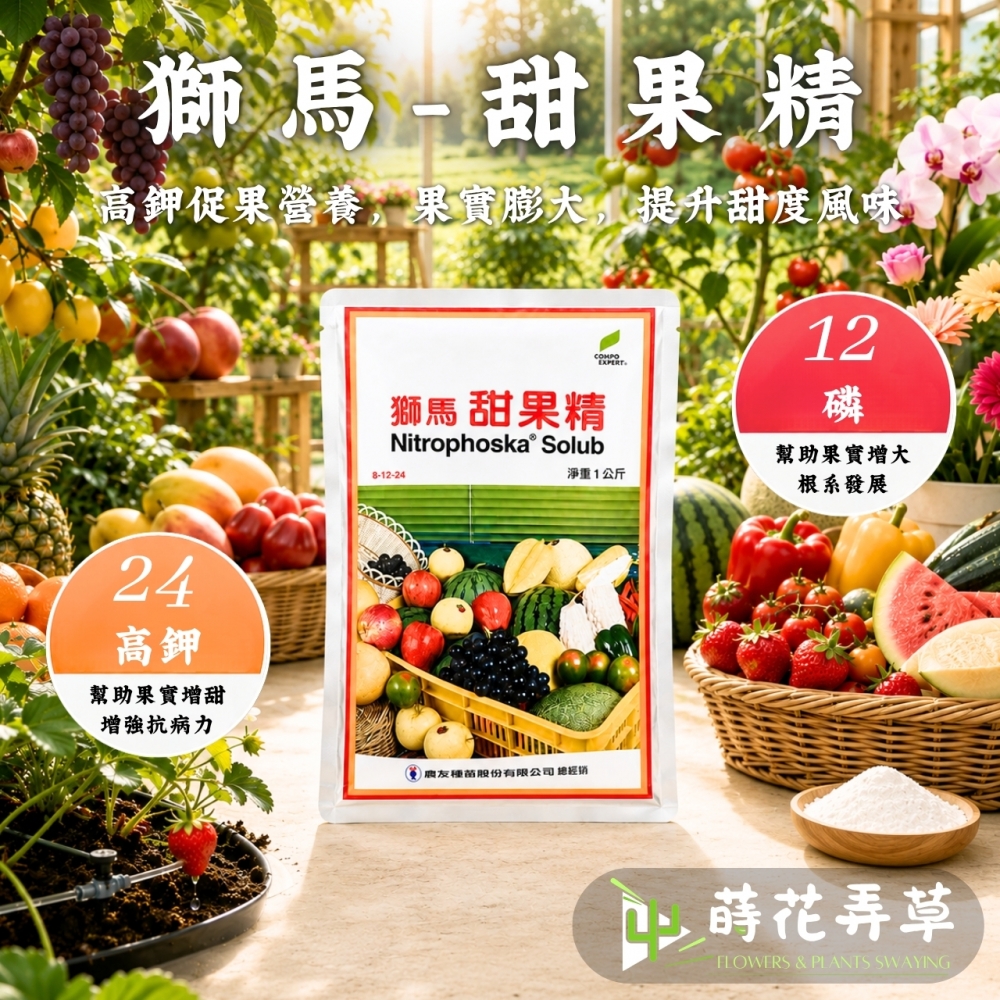 獅馬甜果精
